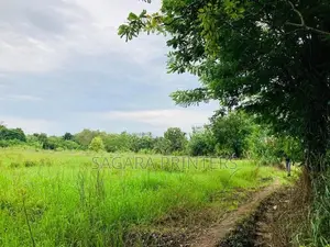 Land for Sale in Habarana