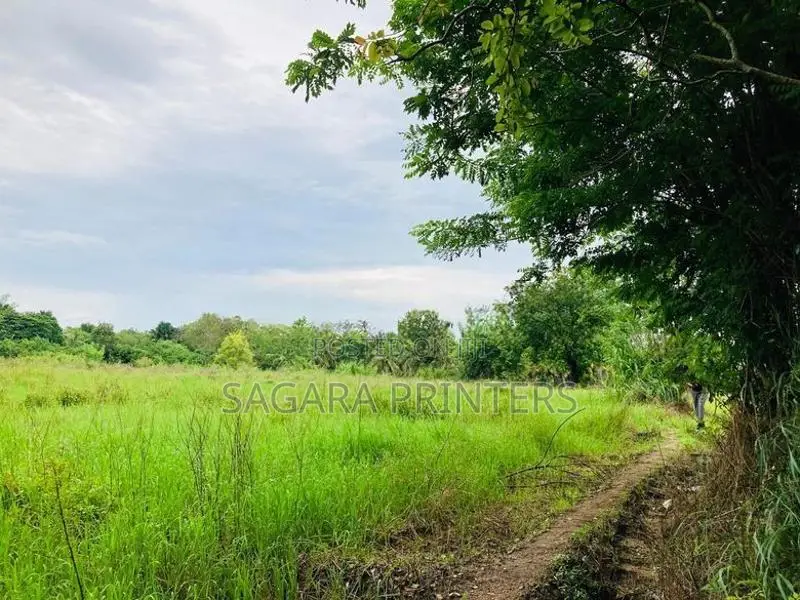 Land for Sale in Habarana