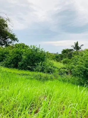 Land for Sale in Habarana