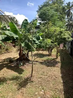 18 PERCHES LAND for SALE in PANNIPITIYA