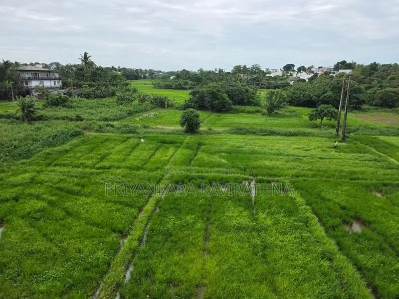 Luxury House For Sale in Boralasgamuwa