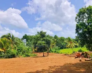 Best Land In Homagama