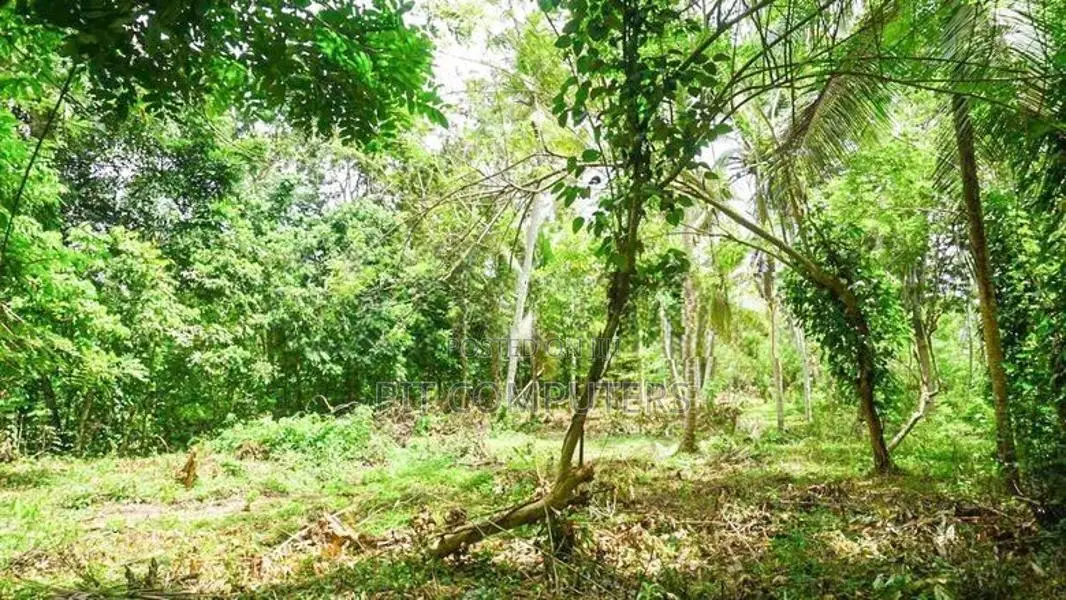 Land with House for Sale in Kolonna Embilipitiya