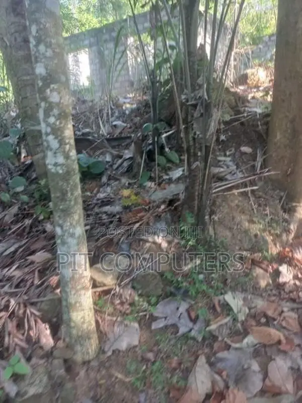 Land with House for Sale in Kolonna Embilipitiya