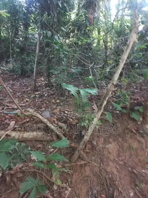 Land with House for Sale in Kolonna Embilipitiya