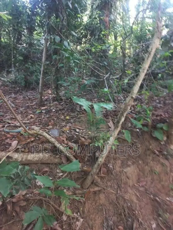 Land with House for Sale in Kolonna Embilipitiya