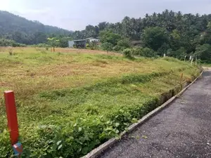 Ideal Residential Land in avissawella