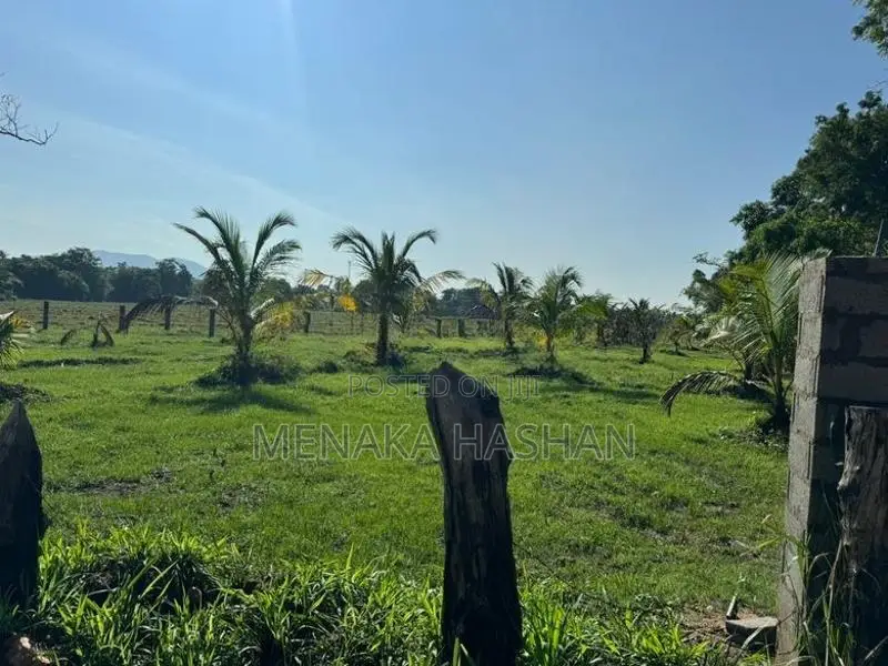 Land for Sale in Anuradhapura