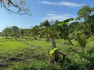 Land for Sale in Anuradhapura