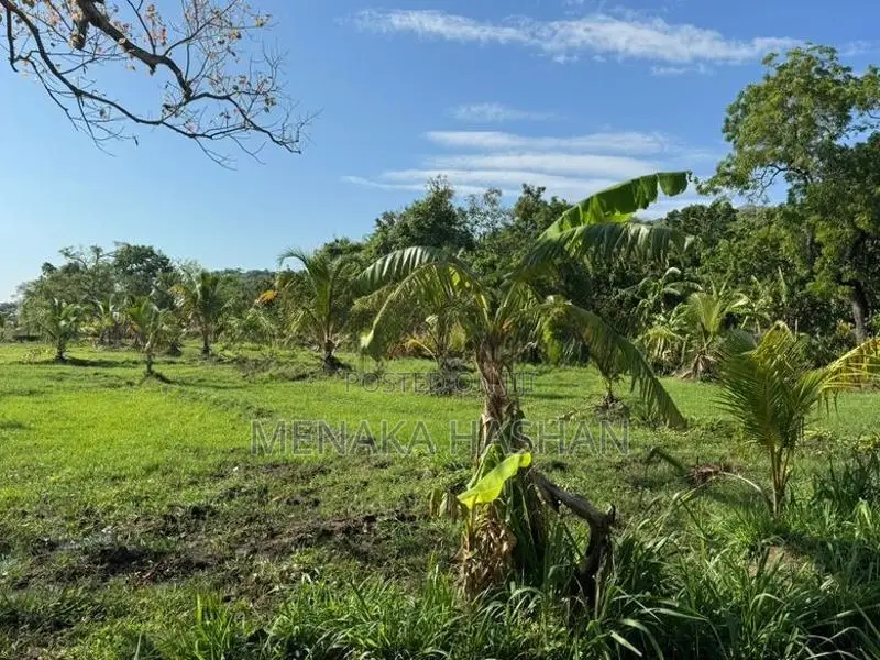 Land for Sale in Anuradhapura