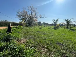Land for Sale in Anuradhapura