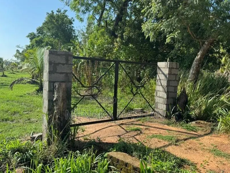 Land for Sale in Anuradhapura