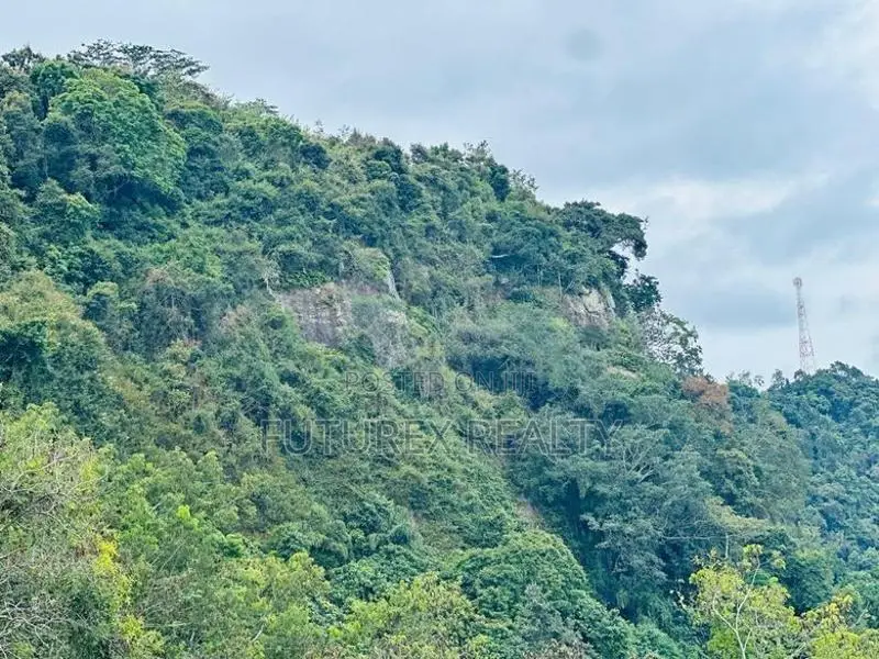 SCENIC TOURISM LAND FOR SALE IN HAPUTALE BERAGALA