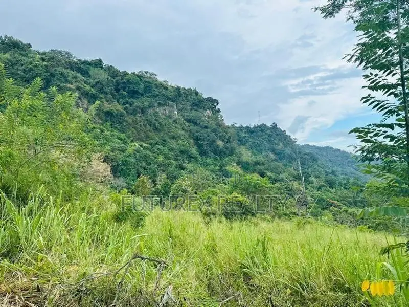 SCENIC TOURISM LAND FOR SALE IN HAPUTALE BERAGALA