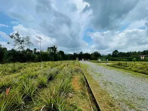 Land for Sale in Eheliyagoda