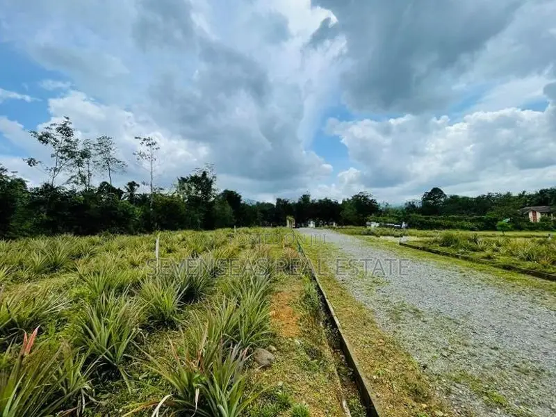 Land for Sale in Eheliyagoda