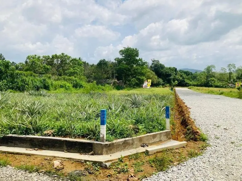ඇහැලියගොඩින් ඉඩම්