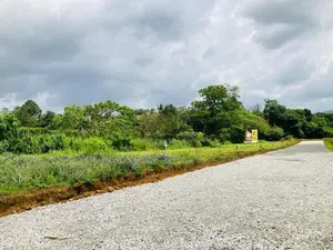 ඇහැලියගොඩින් ඉඩම්