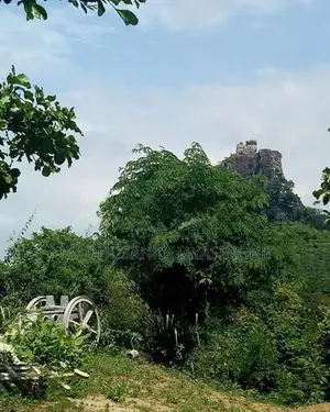Rubber Land 6.2 Acres Mawanella