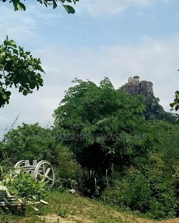 Rubber Land 6.2 Acres Mawanella