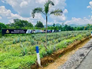 Best Location for Your Dream Home – Ehaliyagoda