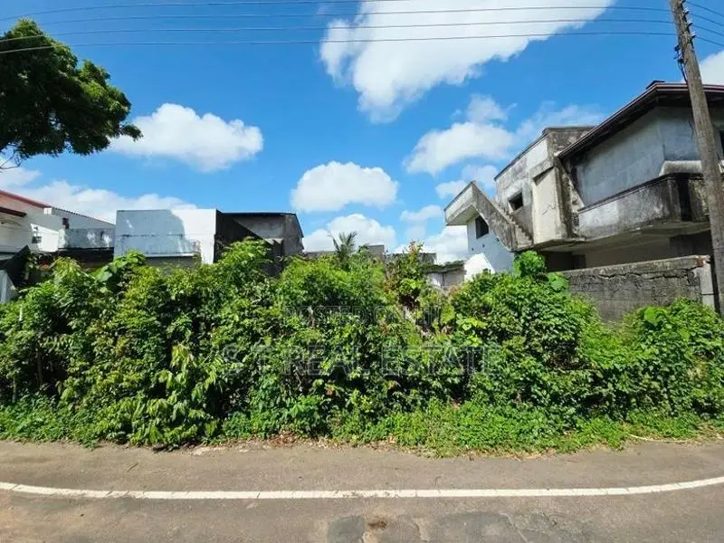 10.44P Bare Land For Sale In Piliyandala