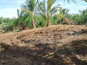 තිස්සමහාරාම නගරය ආසන්නයේ අගනා බිම් කොටසක්