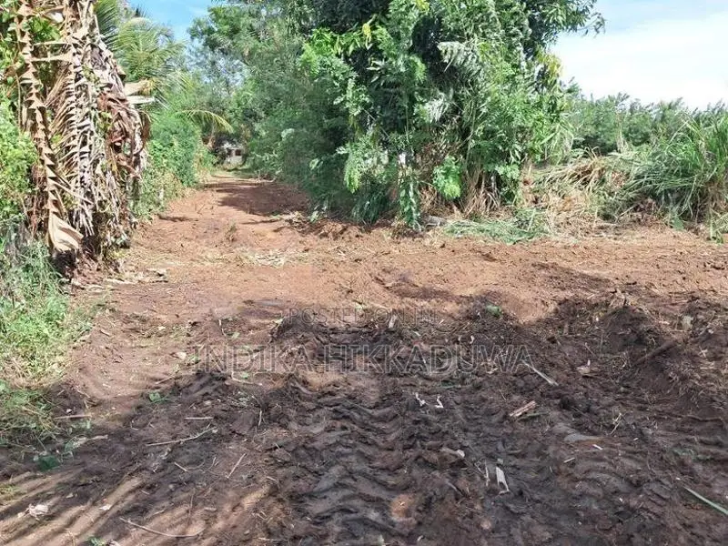තිස්සමහාරාම නගරය ආසන්නයේ අගනා බිම් කොටසක්