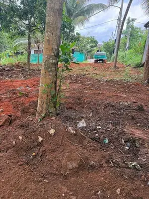 පිළියන්දල කහතුඩුව පර්චස් 12 ක අගනා ඉඩමක් විකිණීමට