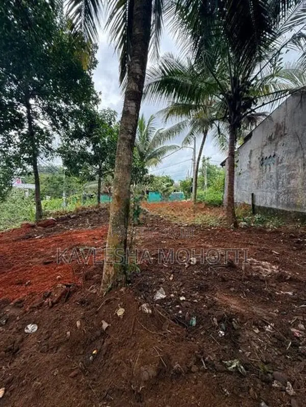 පිළියන්දල කහතුඩුව පර්චස් 12 ක අගනා ඉඩමක් විකිණීමට