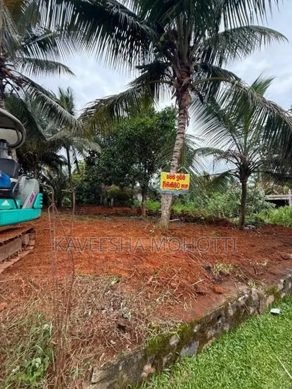 පිළියන්දල කහතුඩුව පර්චස් 12 ක අගනා ඉඩමක් විකිණීමට