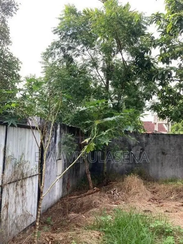 09 PERCHES LAND for SALE in MAHARAGAMA Perakum mawatha