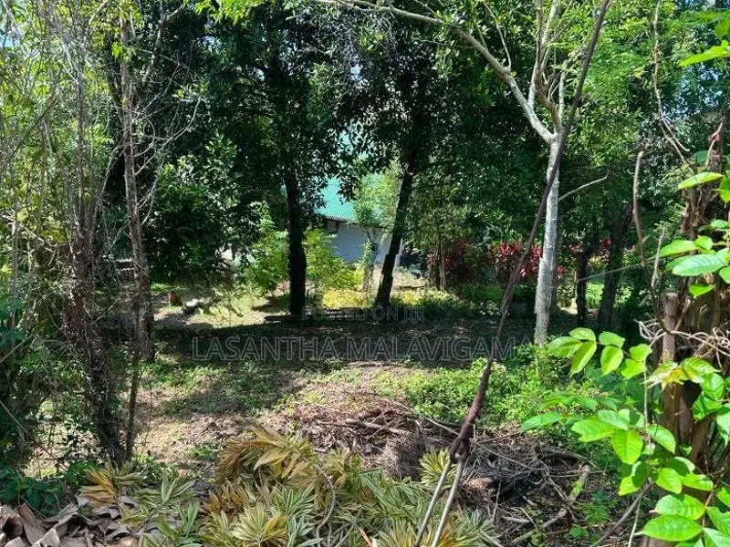 10 perch Land for sale in Battharamulla Robert Gunewardena Mawatha