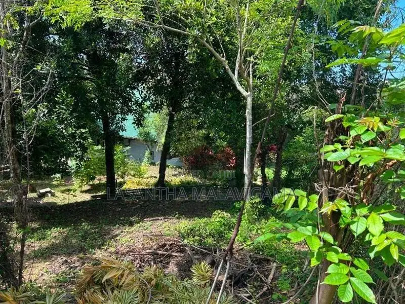 10 perch Land for sale in Battharamulla Robert Gunewardena Mawatha