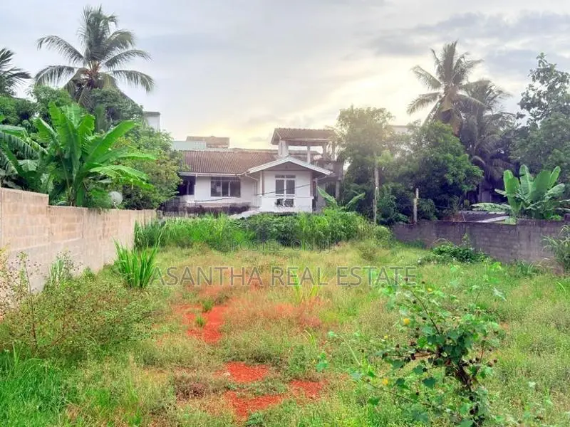 (AF313) 19 P Land Sale At 2nd Lane Koswatha Nawala