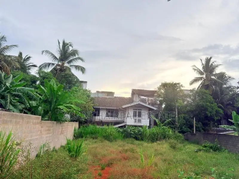 (AF313) 19 P Land Sale At 2nd Lane Koswatha Nawala