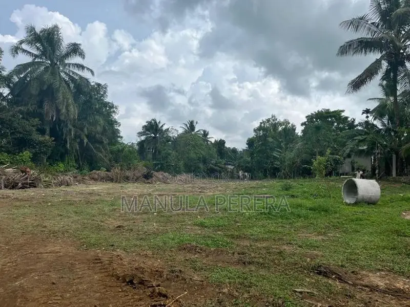1 Acre Land For Sale In Wellipanna Kalutara