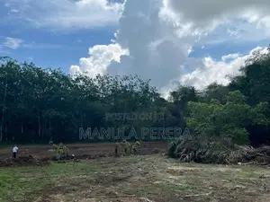 1 Acre Land For Sale In Wellipanna Kalutara