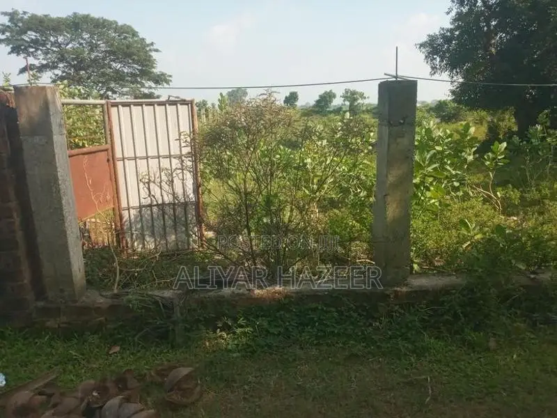 Land for Sale in Kalmunai