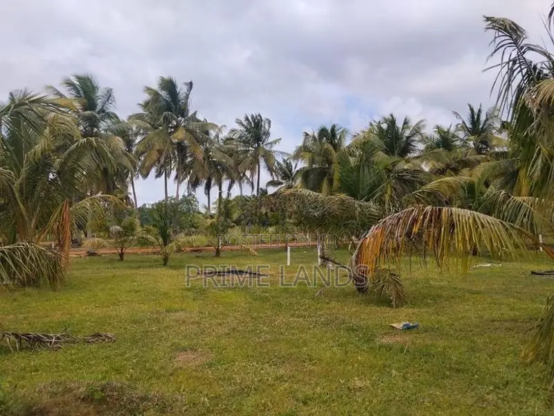 නාච්චාදූව බිම්කොටස් විකිණීමට