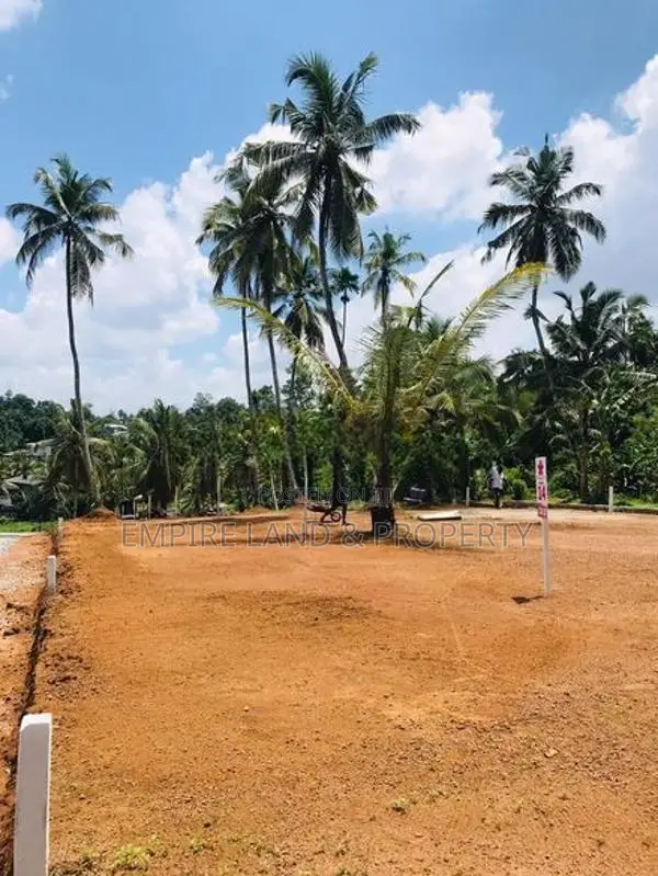 රාගම ගම්පහ 979 බස් පාරට ඇවිදින දුරින් අගනා බිම් කොටස්