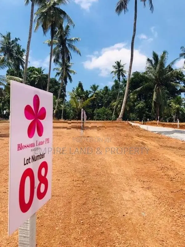 රාගම ගම්පහ 979 බස් පාරට ඇවිදින දුරින් අගනා බිම් කොටස්