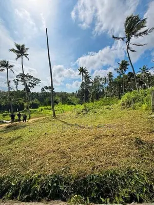 කඩවත-මාවරමන්ඩිය පර්චස් 11.6 ක අඩි 20 පාර සහිත වෙන්දේසි ඉඩම විකිණීමට
