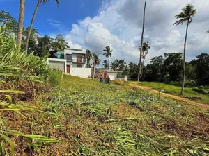 කඩවත-මාවරමන්ඩිය පර්චස් 11.6 ක අඩි 20 පාර සහිත වෙන්දේසි ඉඩම විකිණීමට