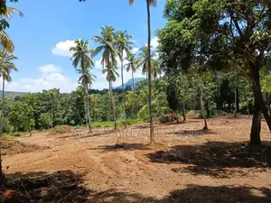 Land for Sale in Kegalle