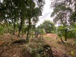 කුඩා නිවසක් සහිත පර්චස් 38ක ඉඩමක් විකිණීමට ඇත
