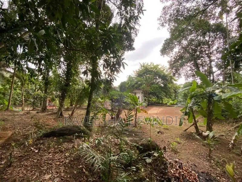 කුඩා නිවසක් සහිත පර්චස් 38ක ඉඩමක් විකිණීමට ඇත