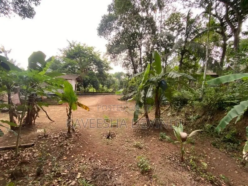 කුඩා නිවසක් සහිත පර්චස් 38ක ඉඩමක් විකිණීමට ඇත