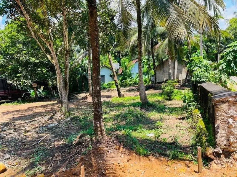 Land for Sale in Meepe