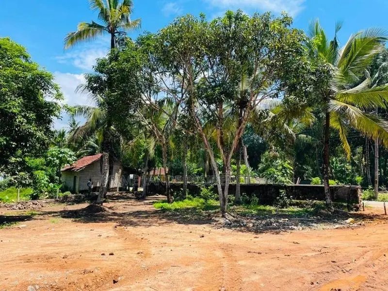 Land for Sale in Meepe
